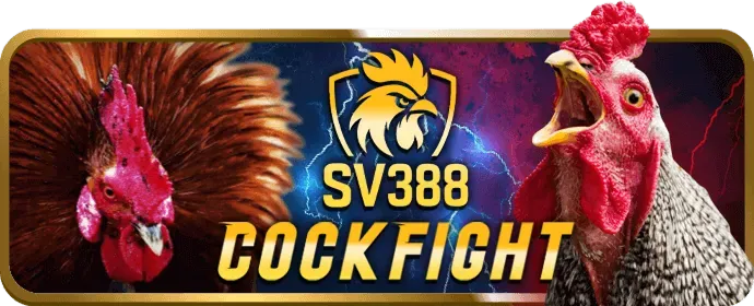 Sòng bạc trực tuyến Bibet